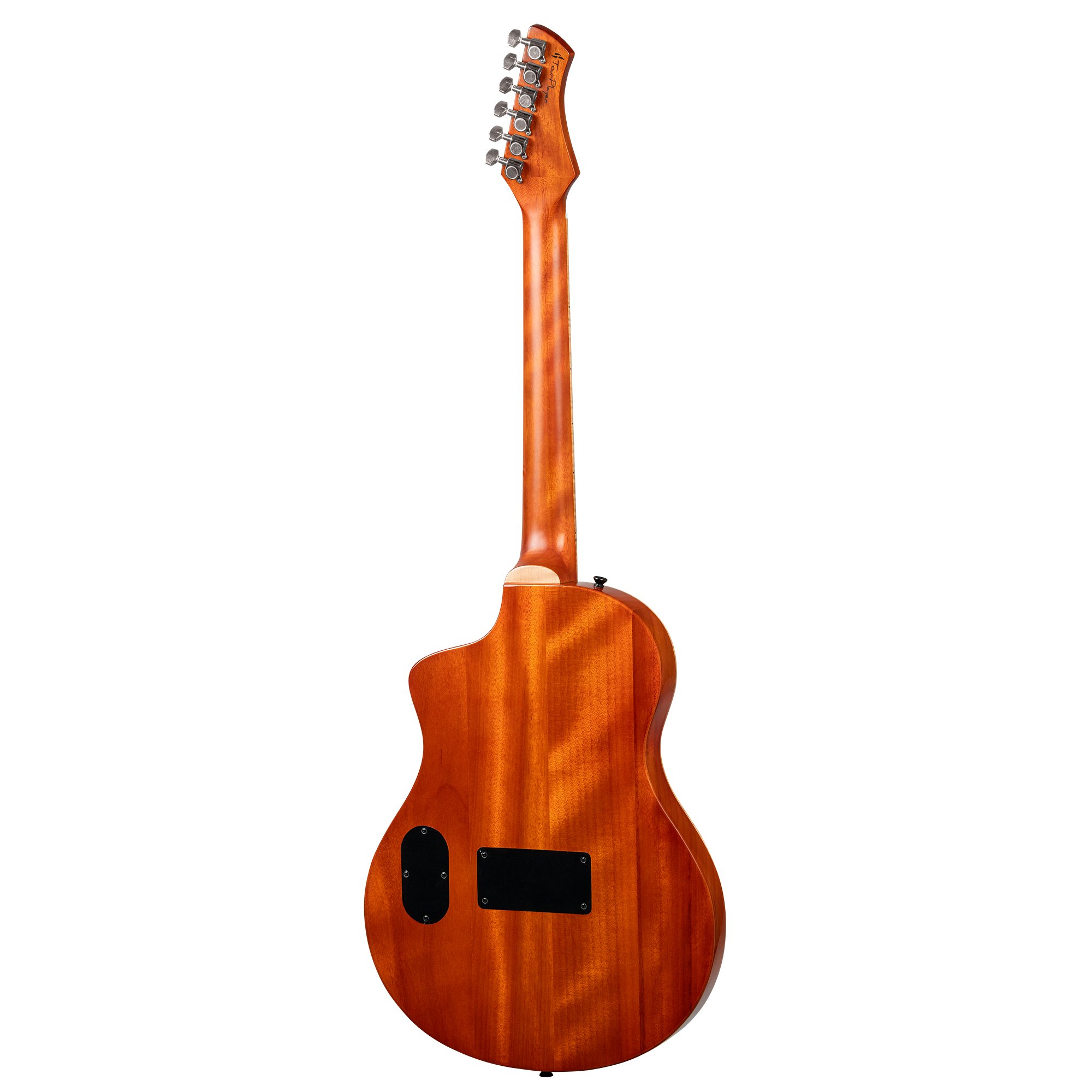 RTPG-LS1 Konzertgitarre TourPlayer Serie